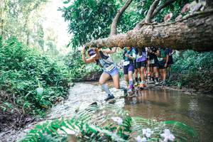 BIB: 
                            <button type="button" onclick="openModal(25468252)" class="btn btn-primary btn-sm float-right btn-popup" data-toggle="modal" data-target=".modal-high-quality">
                        <i class="fas fa-shopping-cart"></i> Add to Cart
                    </button>
                                            <button type="button" onclick="isThisMe(25468252, true)" class="btn btn-success btn-sm float-right btn-popup btn-isme hidden" data-toggle="tooltip" data-placement="bottom" title="นี่คือรูปของคุณใช่ไหม คลิกที่นี่เพื่อเอาเข้าอัลบั้ม">
                        <i class="fas fa-plus"></i> Add to album
                    </button>
                    <button type="button" onclick="isThisMe(25468252, false)" class="btn btn-warning btn-sm float-right btn-popup btn-isnotme hidden">
                        <i class="fas fa-ban"></i> Remove from album
                    </button>